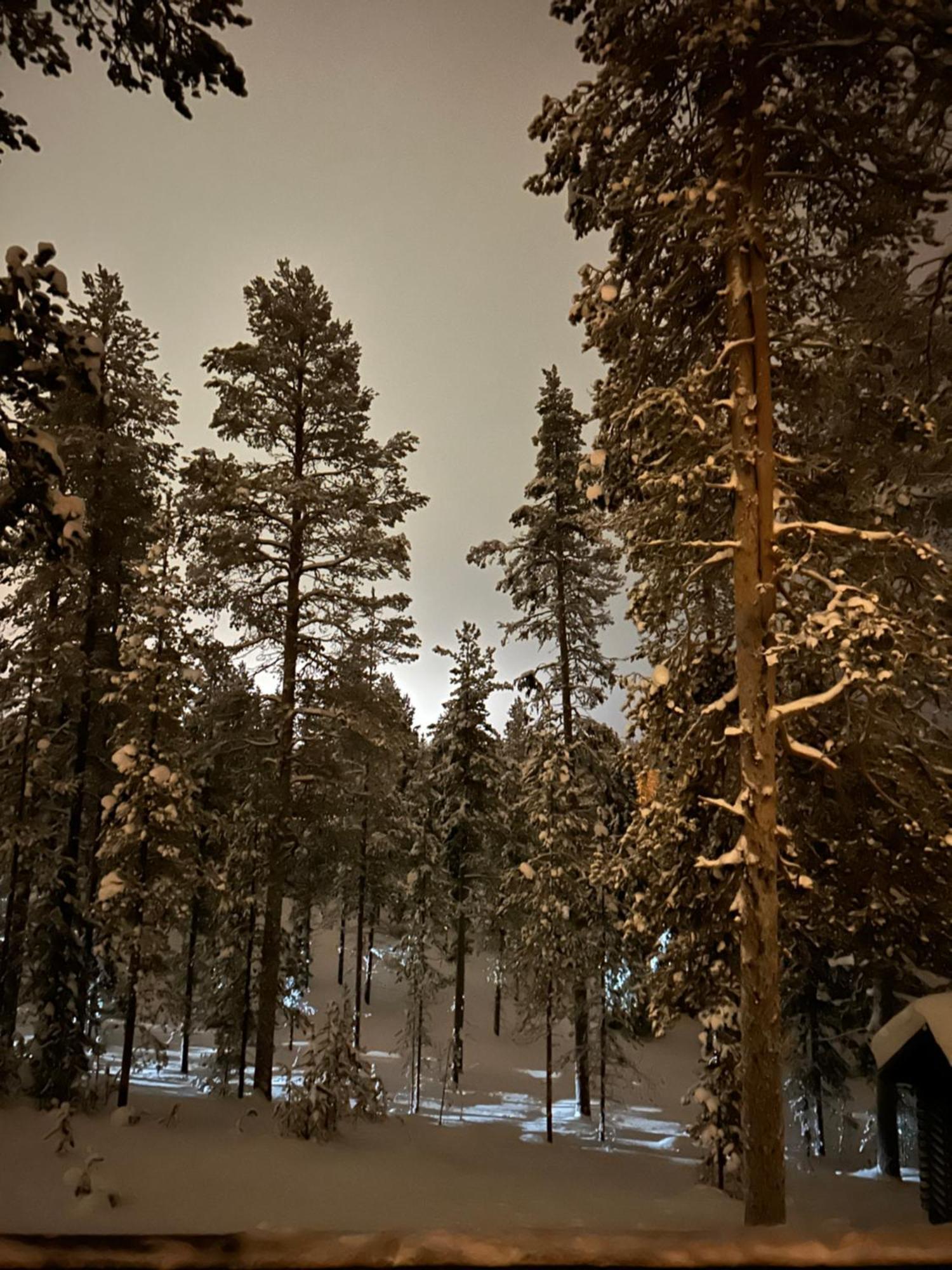 Villa Lumihelmi A & B Экясломполо Экстерьер фото